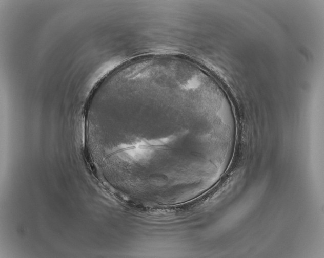 X0000112971171200909171312