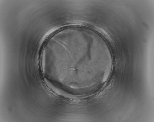 X0000112971172200909171312