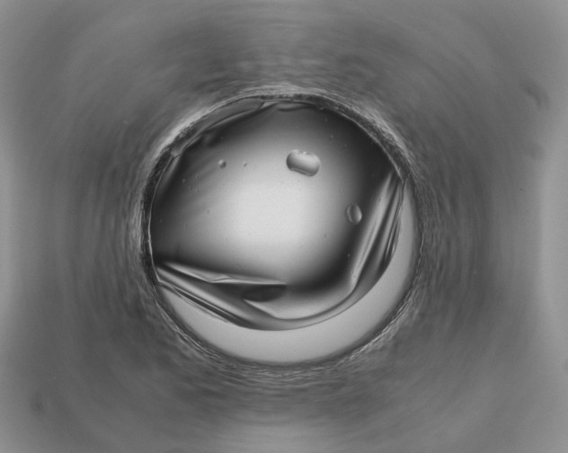 X0000112971173200909171312