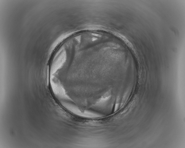 X0000112971175200909171312