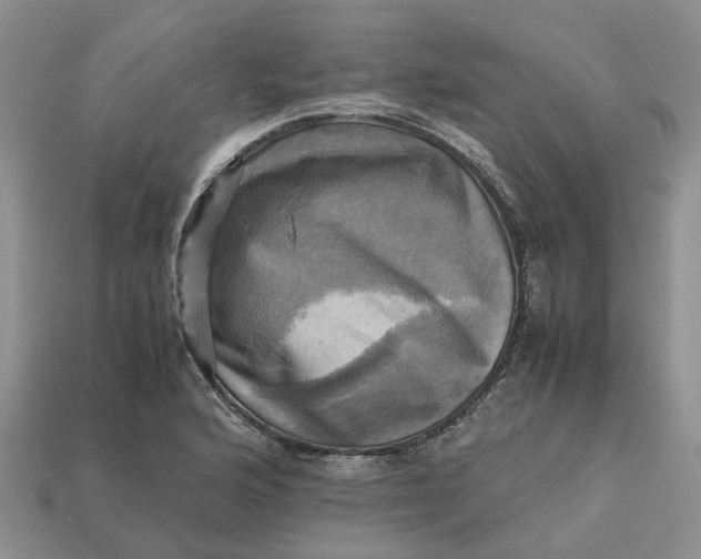 X0000112971176200909171312