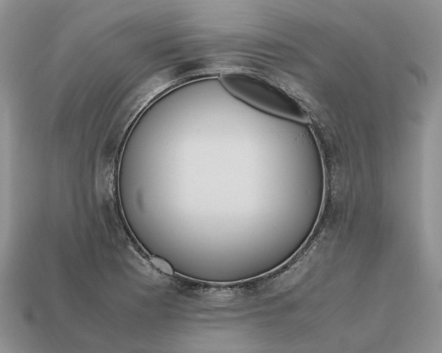 X0000112971177200909171312