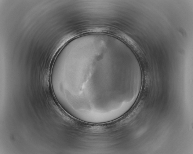 X0000112971178200909171312