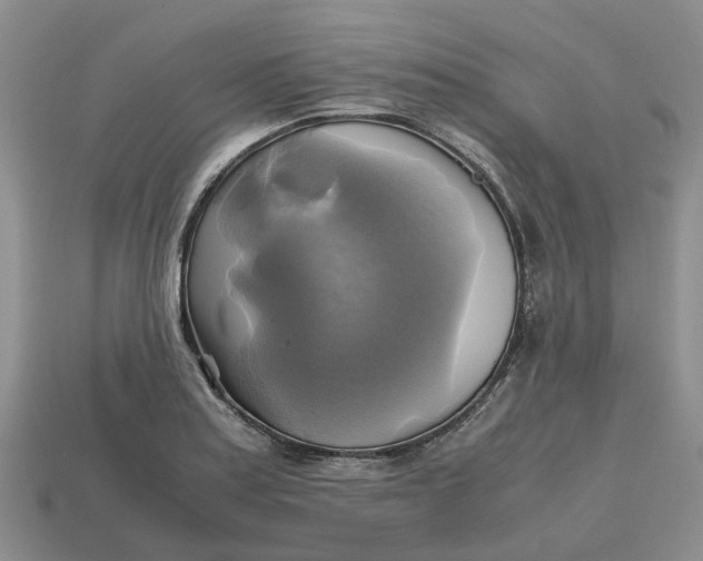 X0000112971179200909171312