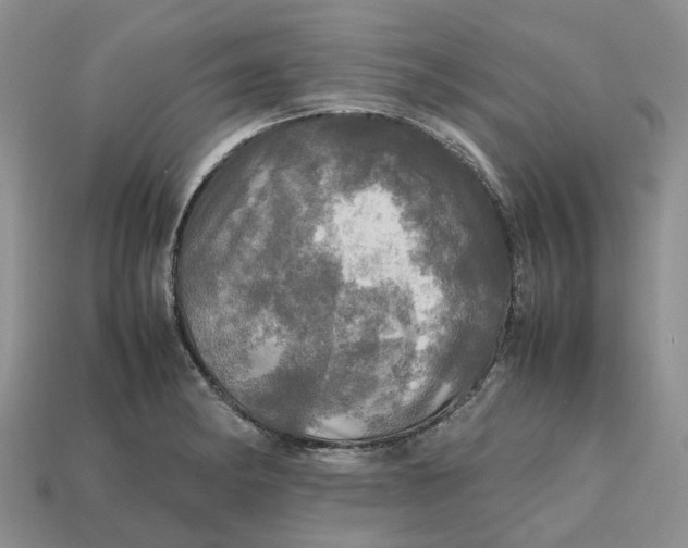 X0000112971182200909171312