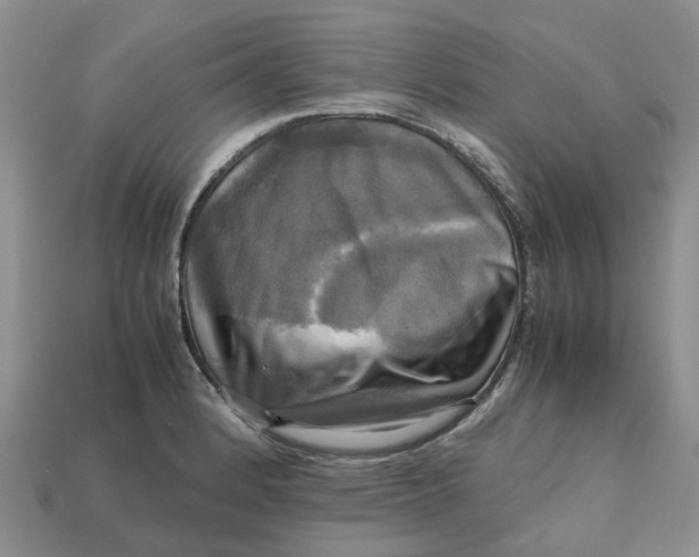 X0000112971184200909171312