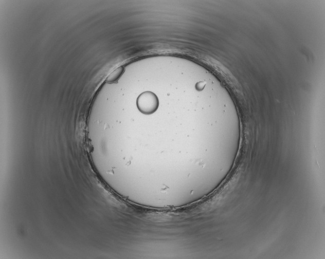 X0000112971185200909171312