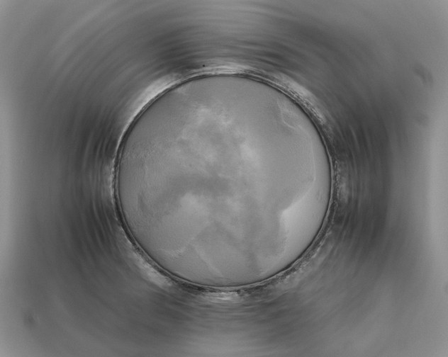 X0000112971186200909171312