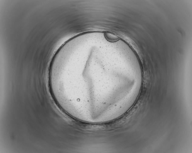 X0000112971187200909171312