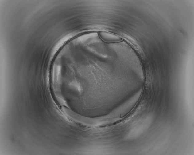 X0000112971188200909171312