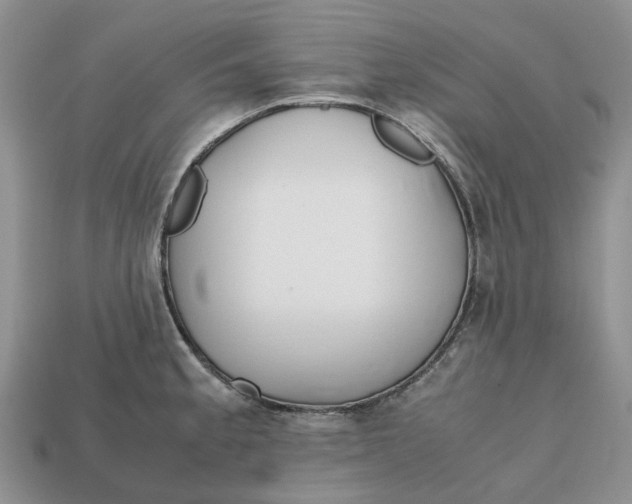 X0000112971189200909171312