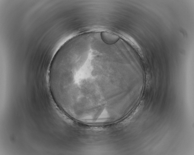 X0000112971190200909171312