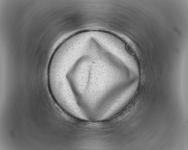 X0000112971191200909171312