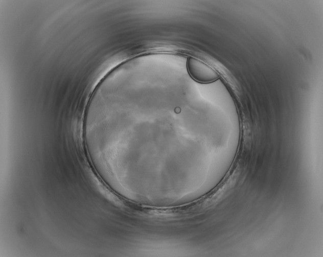 X0000112971194200909171311