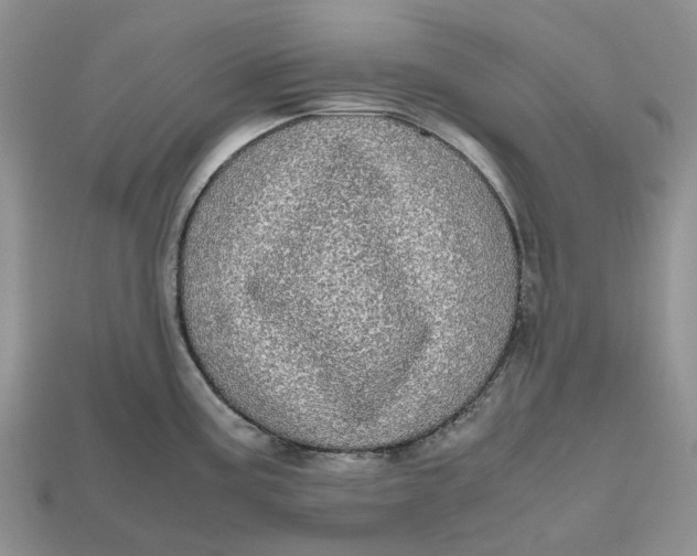 X0000112971195200909171311