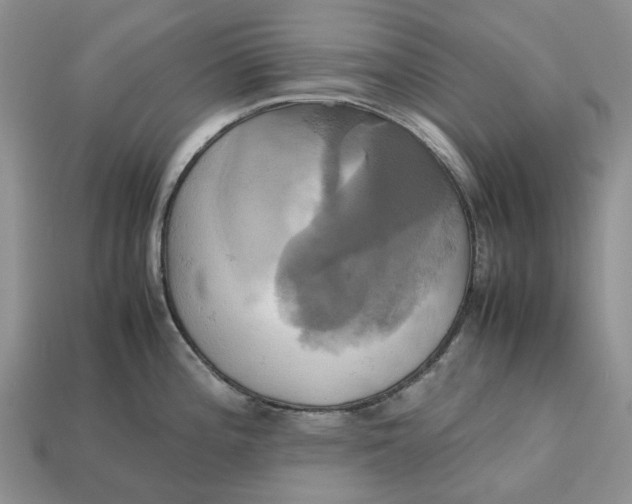 X0000112971196200909171311