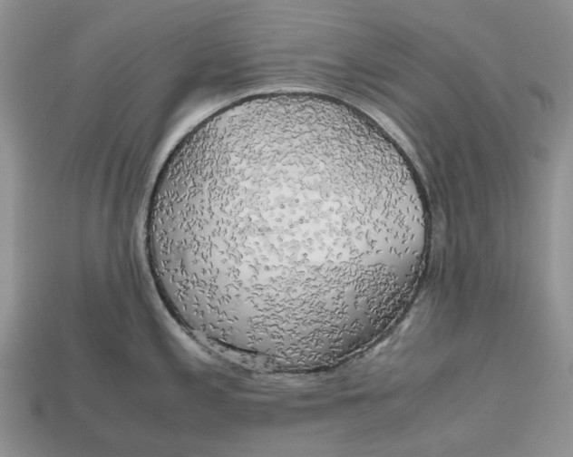 X0000112971197200909171311