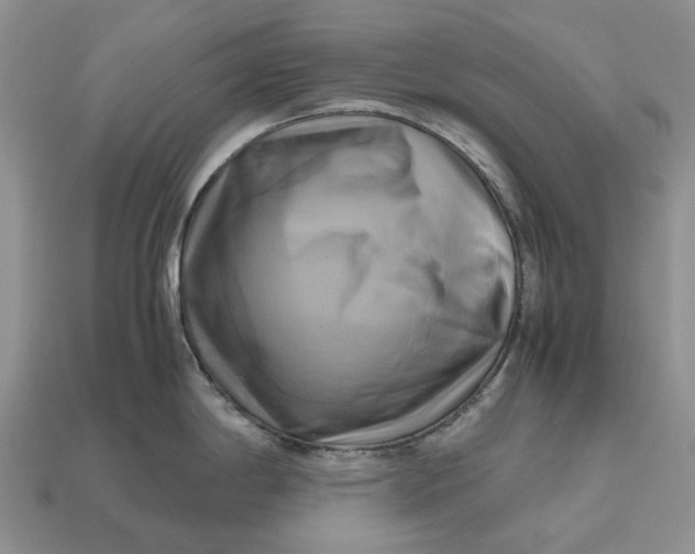 X0000112971198200909171311