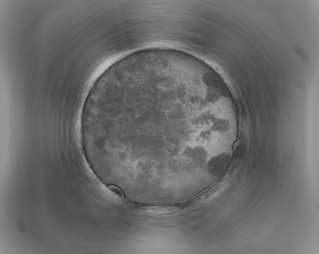 X0000112971199200909171311