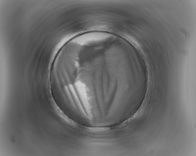 X0000112971200200909171311