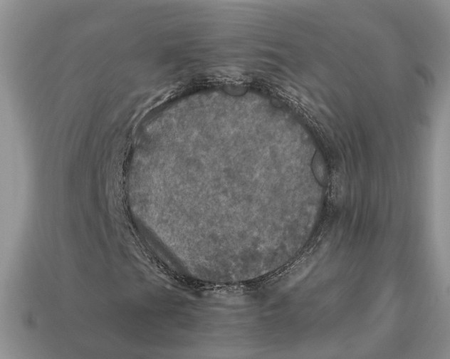 X0000112971201200909171311