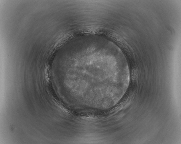 X0000112971202200909171311