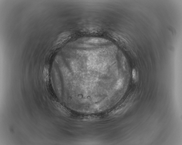 X0000112971203200909171311