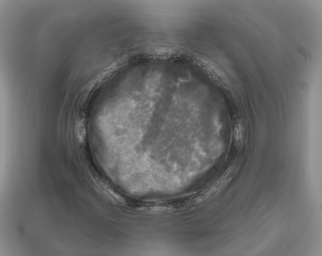 X0000112971204200909171311