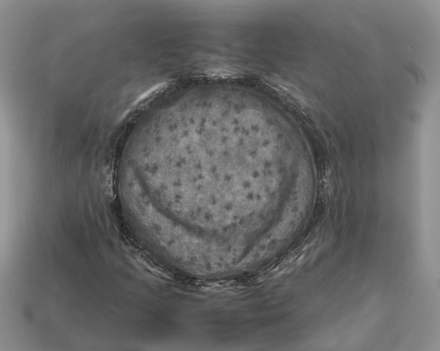 X0000112971205200909171311