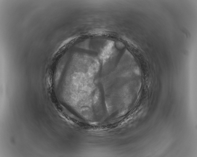 X0000112971206200909171311