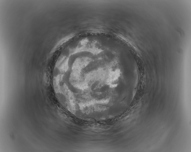 X0000112971207200909171311