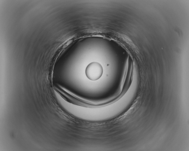 X0000112971209200909171311