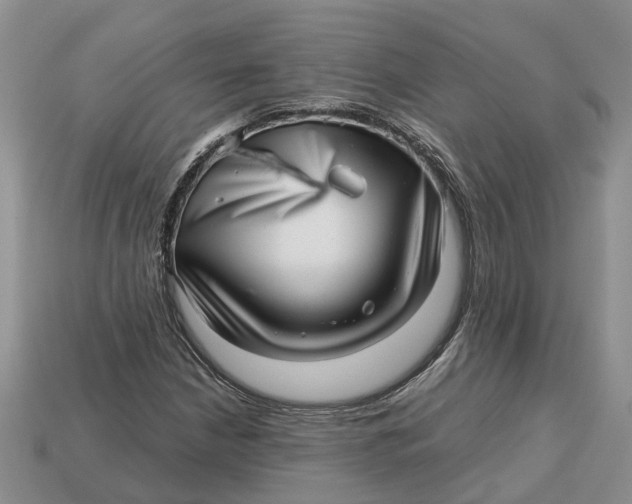 X0000112971210200909171311