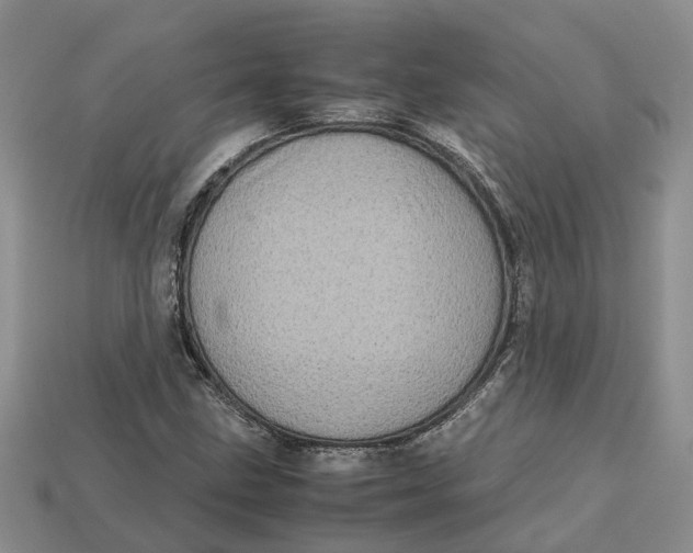 X0000112971211200909171311