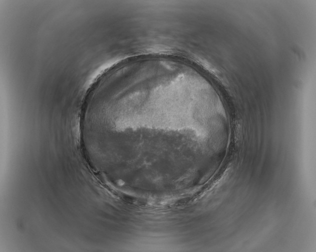 X0000112971214200909171311