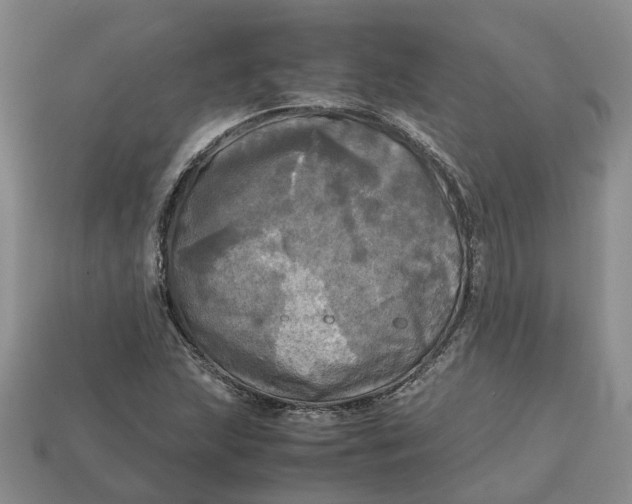 X0000112971215200909171311