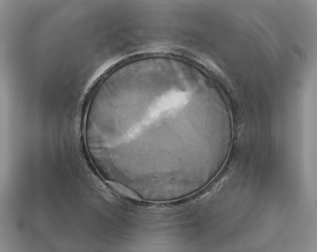 X0000112971216200909171311