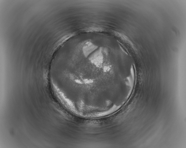 X0000112971217200909171311