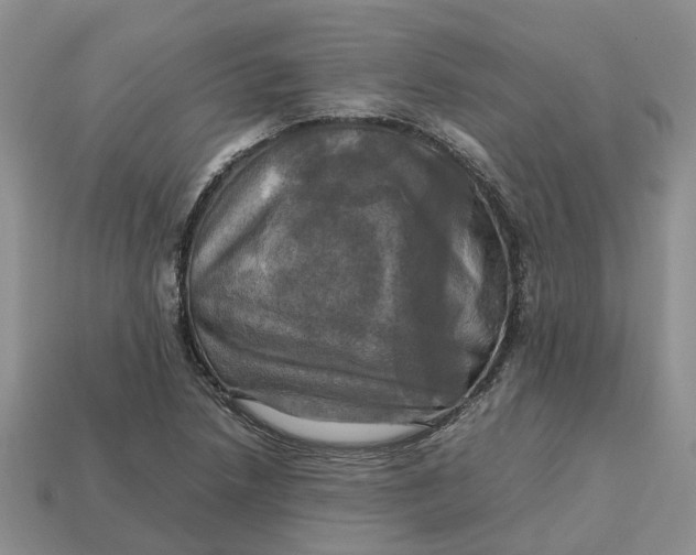 X0000112971218200909171311