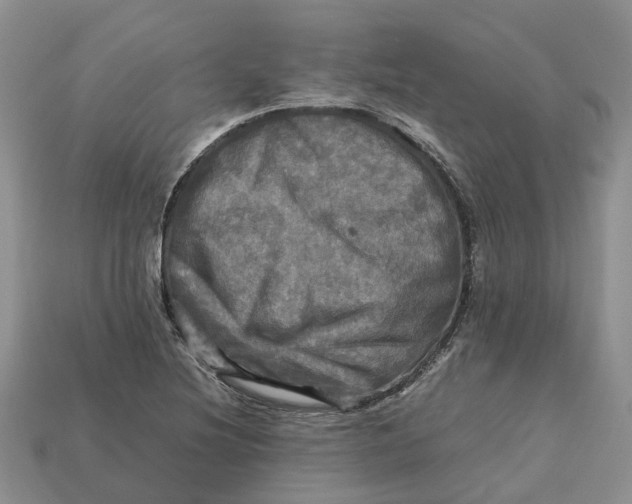 X0000112971220200909171311