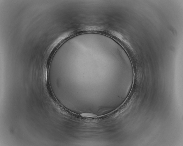 X0000112971221200909171311