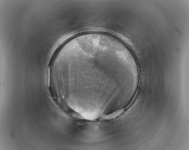 X0000112971223200909171311