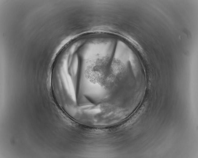 X0000112971224200909171311