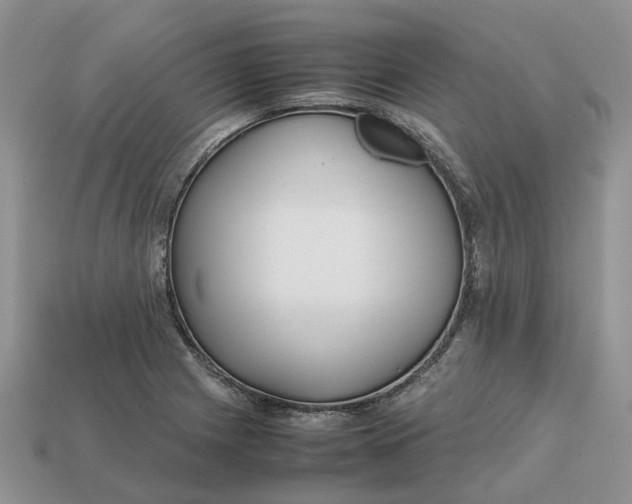 X0000112971225200909171311