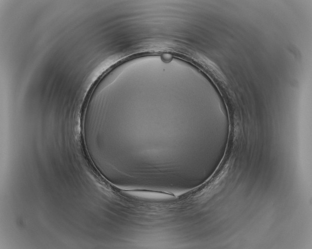 X0000112971226200909171311