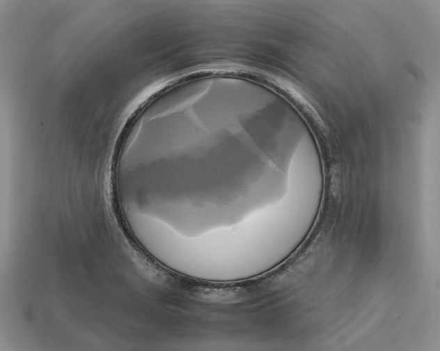 X0000112971229200909171311