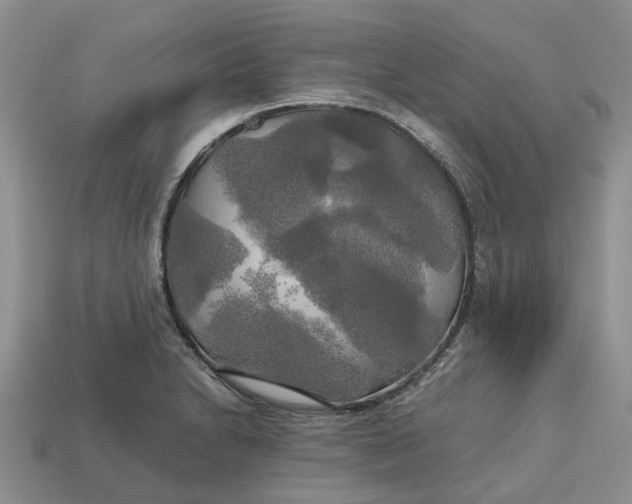 X0000112971230200909171311