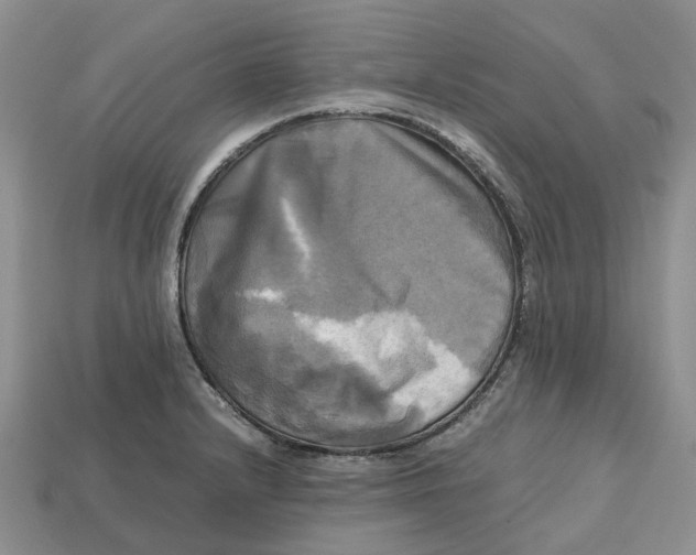 X0000112971232200909171311