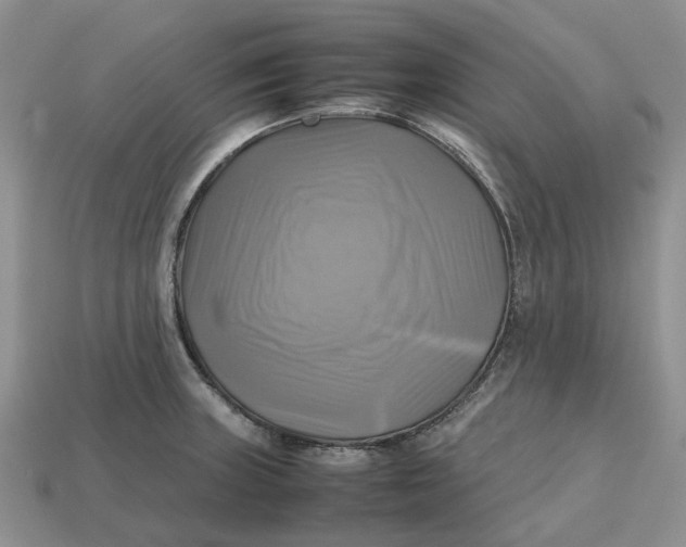 X0000112971235200909171311