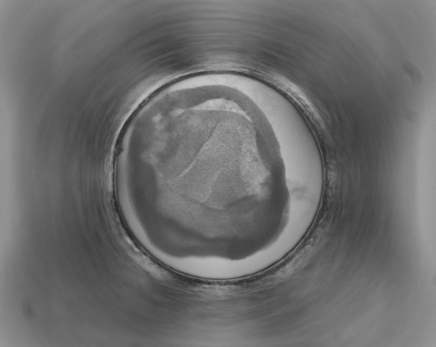 X0000112971236200909171311